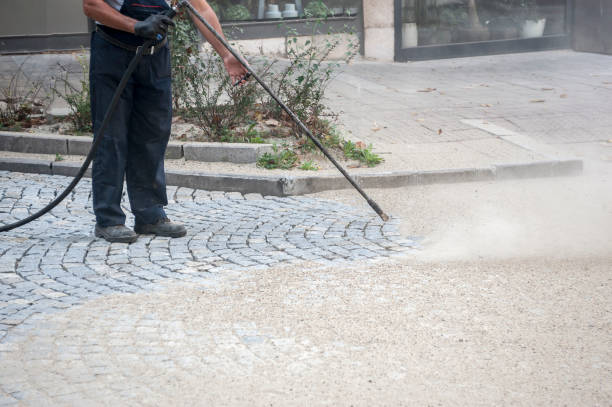 Best Spring Cleaning  in Pamplico, SC