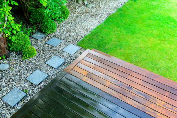 Trusted Pamplico, SC Pressure Washing Services Experts